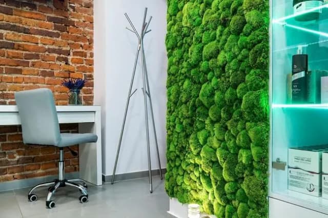 Jak dbać o mech dekoracyjny, by uniknąć błędów i zachować jego piękno na długo Jak dbać o mech dekoracyjny, by uniknąć błędów i zachować jego piękno na długo